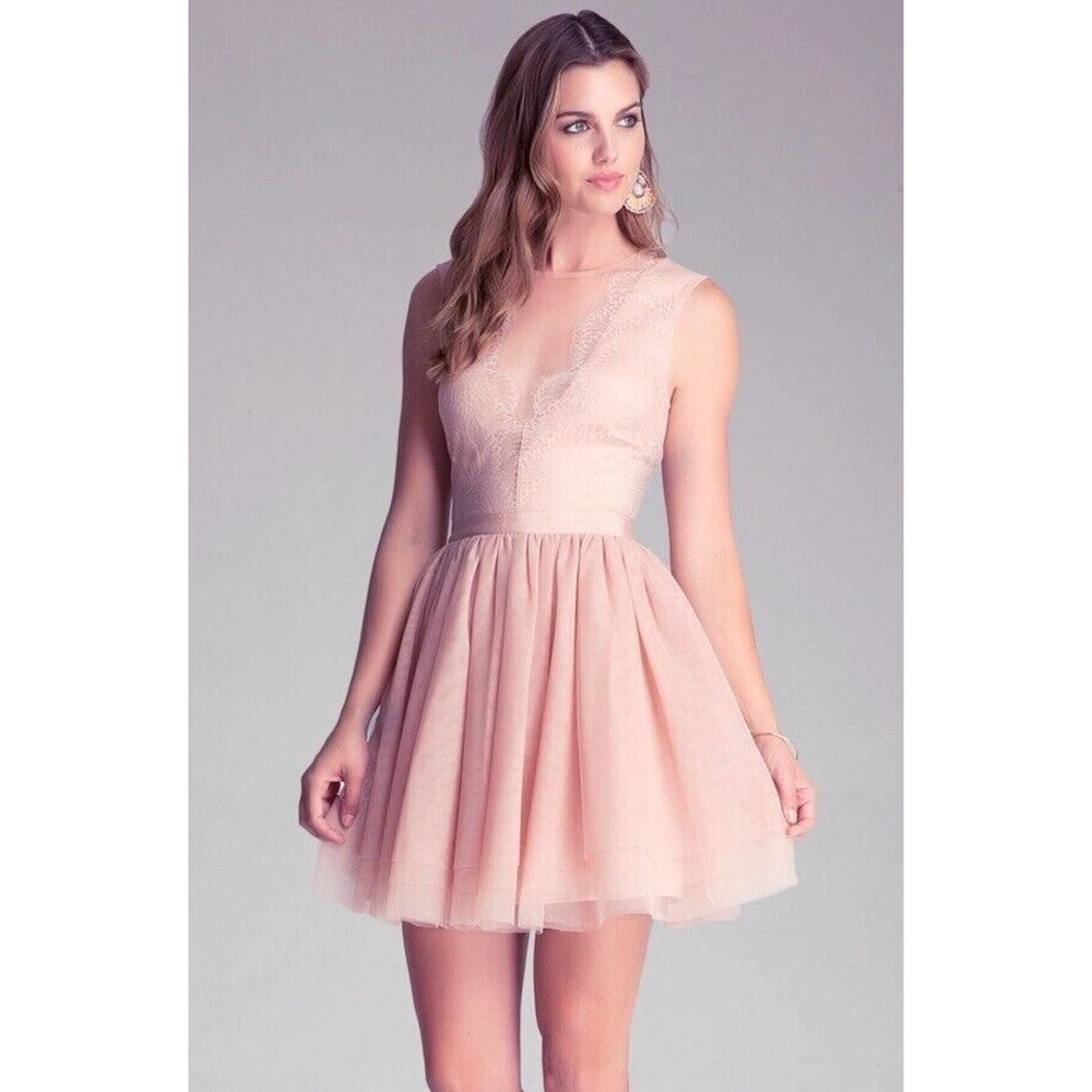 NWT bebe blush pink mesh lace fit flare sheer deep v top dress S Small 6 sexy